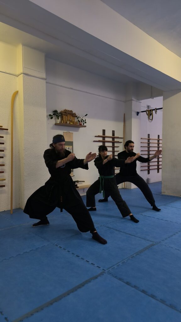 Grupo alumnos Ninja entrenando Grupo alumnos Ninja entrenando
