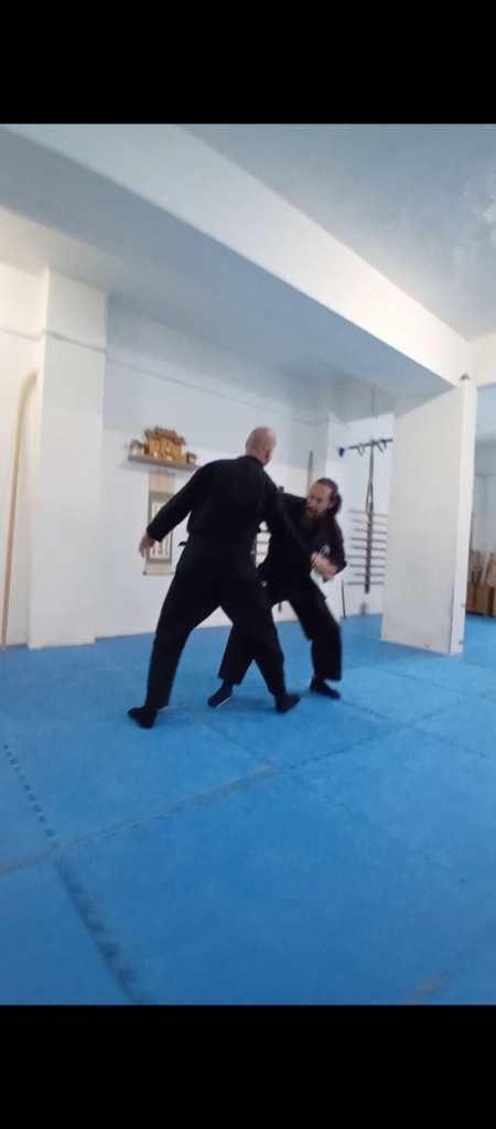 Ejecución Técnica Ninja Ejecución Técnica Ninja